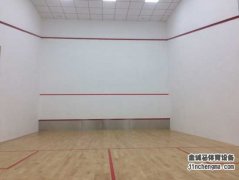 四川省眉山市壁球項(xiàng)目順利完工！